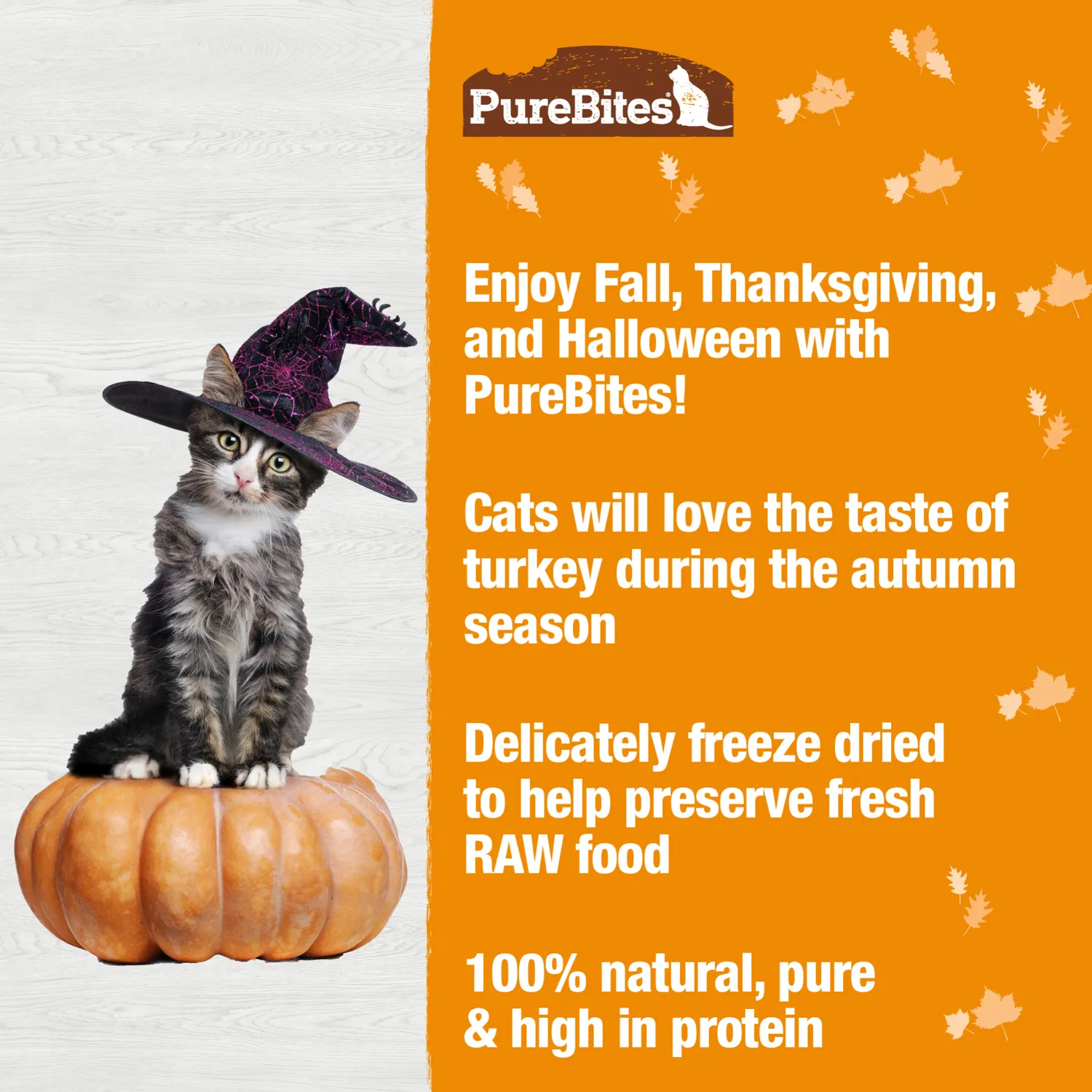 PureBites dinde friandise chat lyophilisée