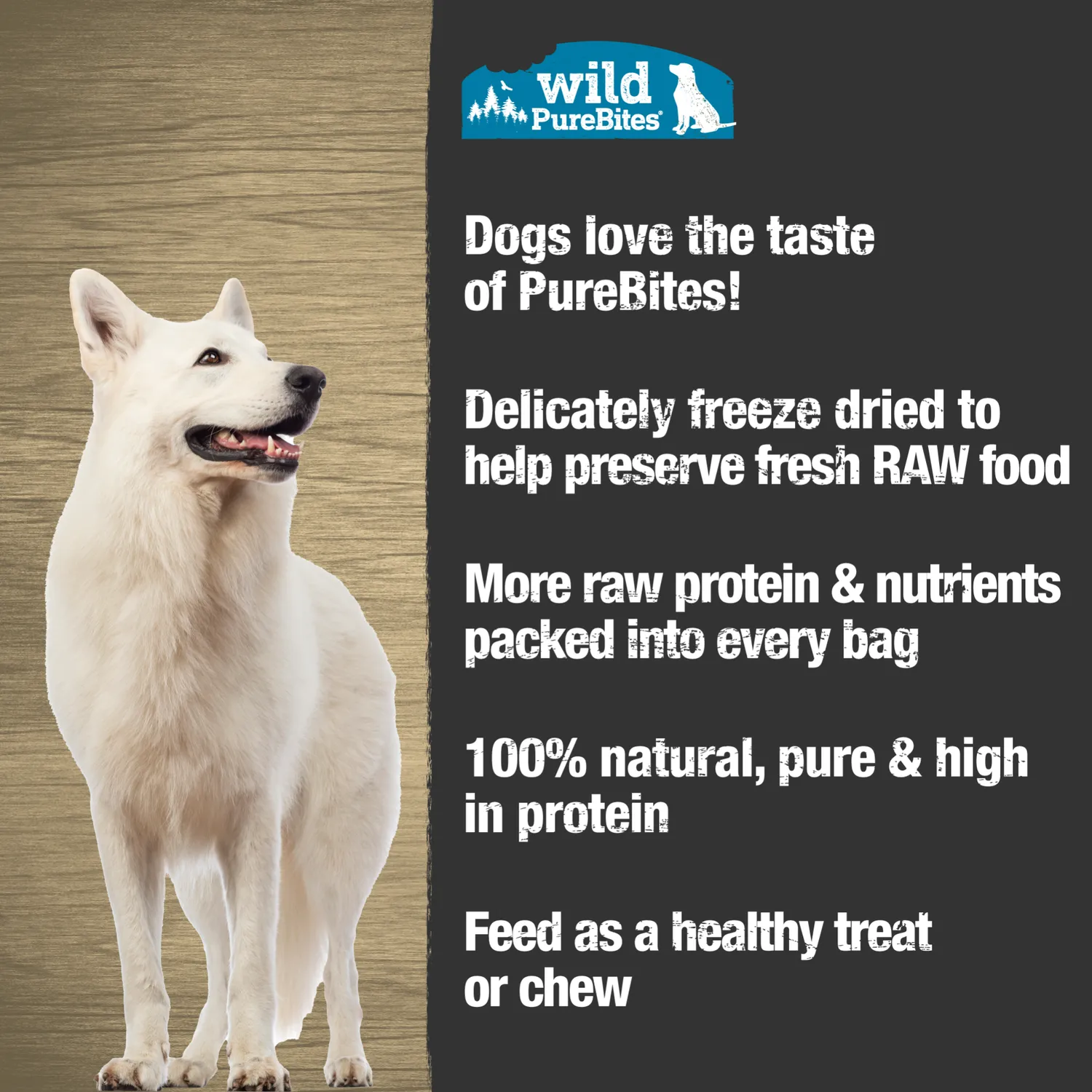 PureBites Hareng Sauvage Lyophilisé Friandises Chien 2.5oz