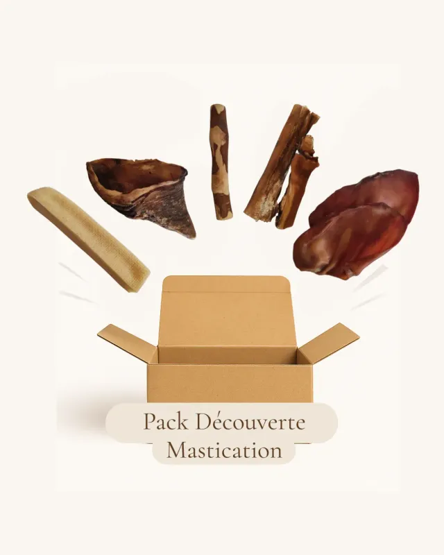 Instincts Pack Découverte mastication chien S à L assortiment naturel