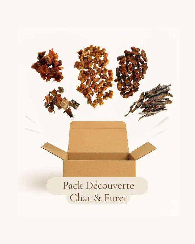 Instincts Pack Découverte Chats Furets friandises 5x25g naturelles