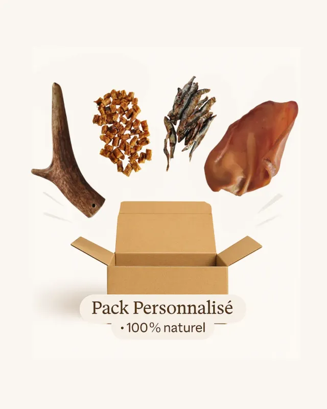 Instincts Pack Personnalisé Friandises Chat et Furet