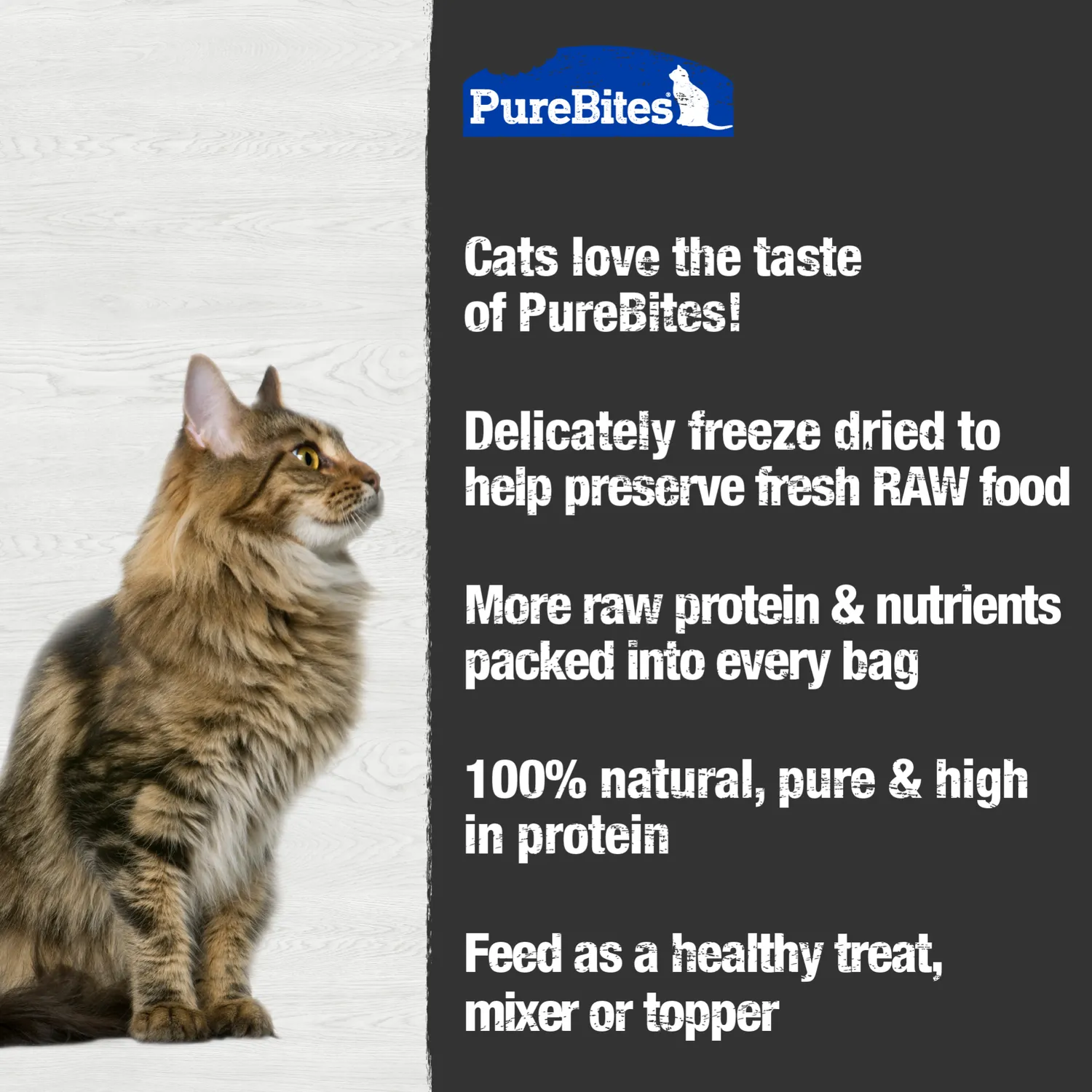 PureBites océan friandise chat lyophilisée 0,77 oz poisson