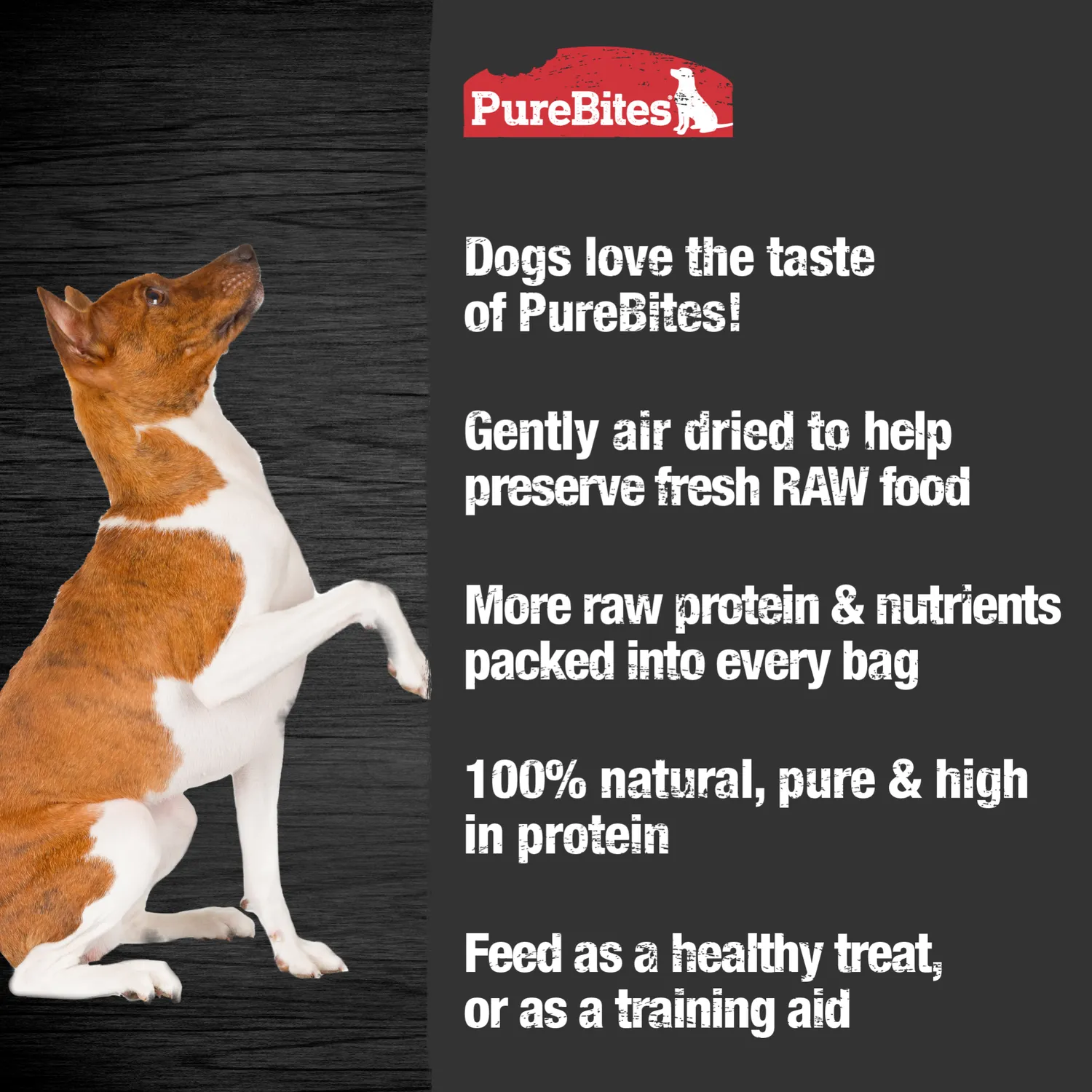 PureBites jerky chien à mâcher protéine