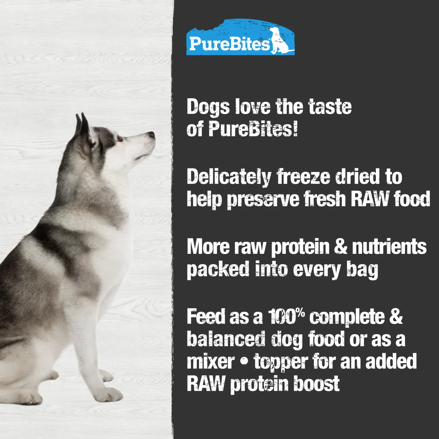 PureBites repas chien lyophilisé protéines