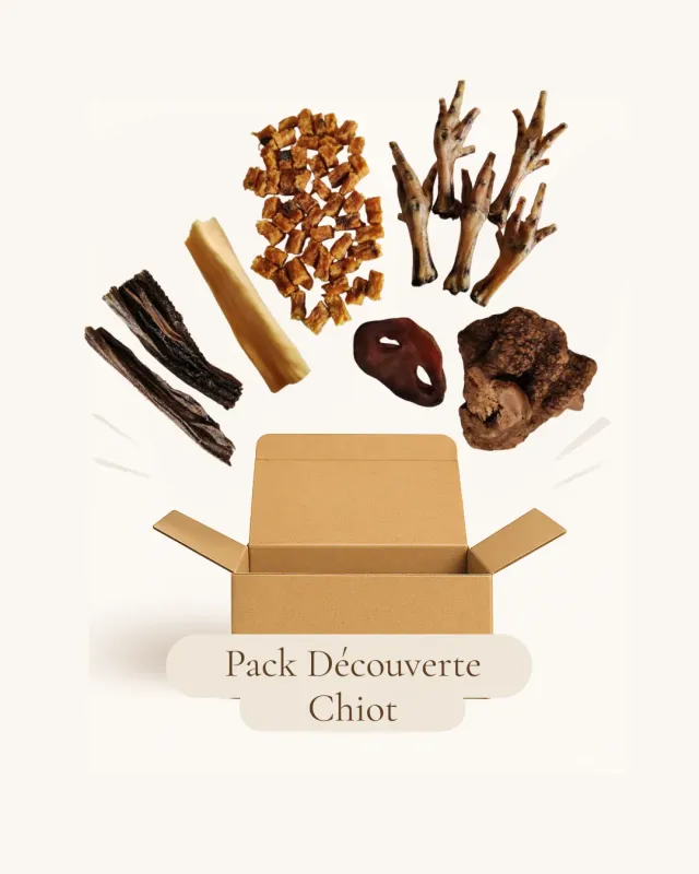 Instincts Pack Découverte Chiot friandises mastication 6 produits
