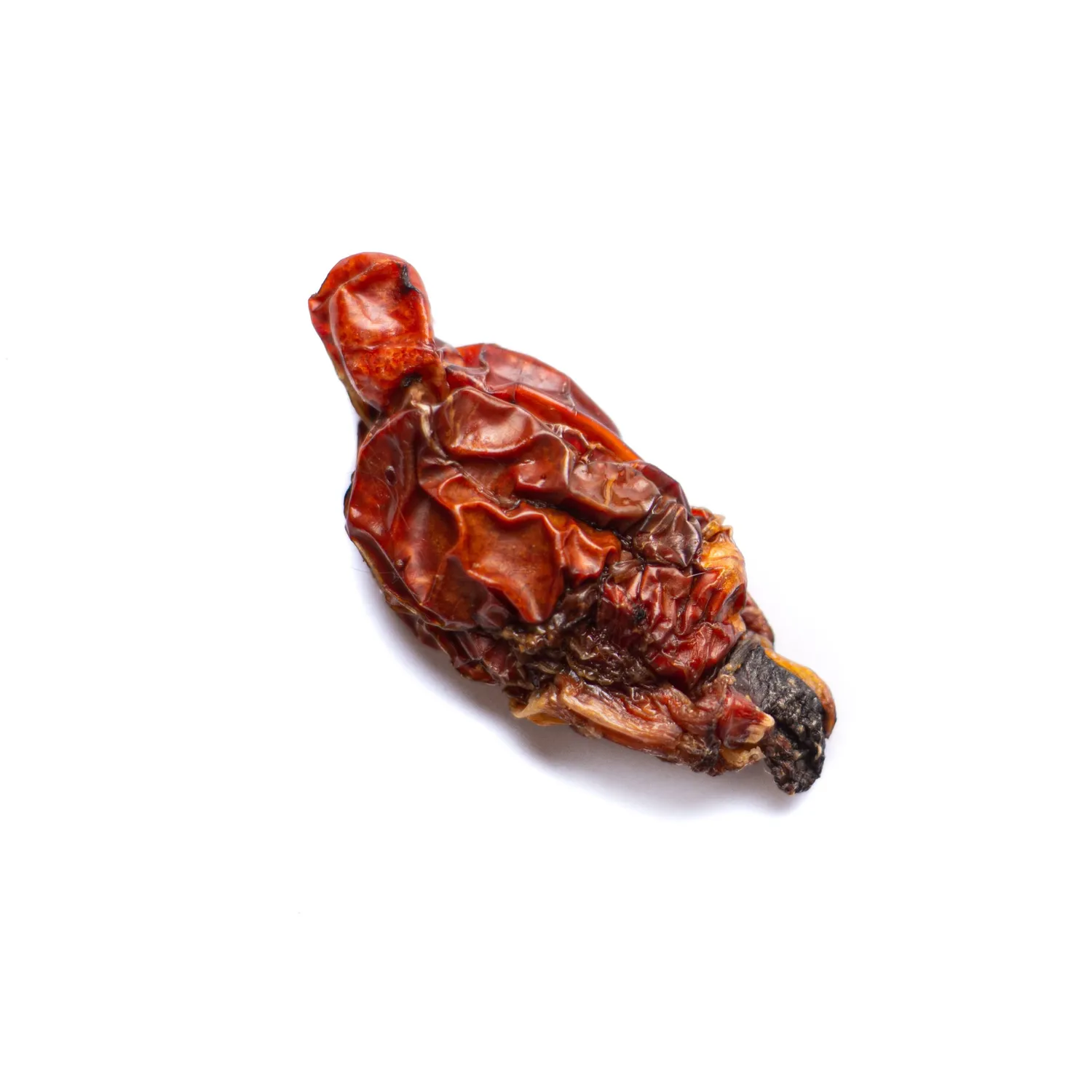 Hero Dog Treats Lambsicle friandise à mâcher d’agneau