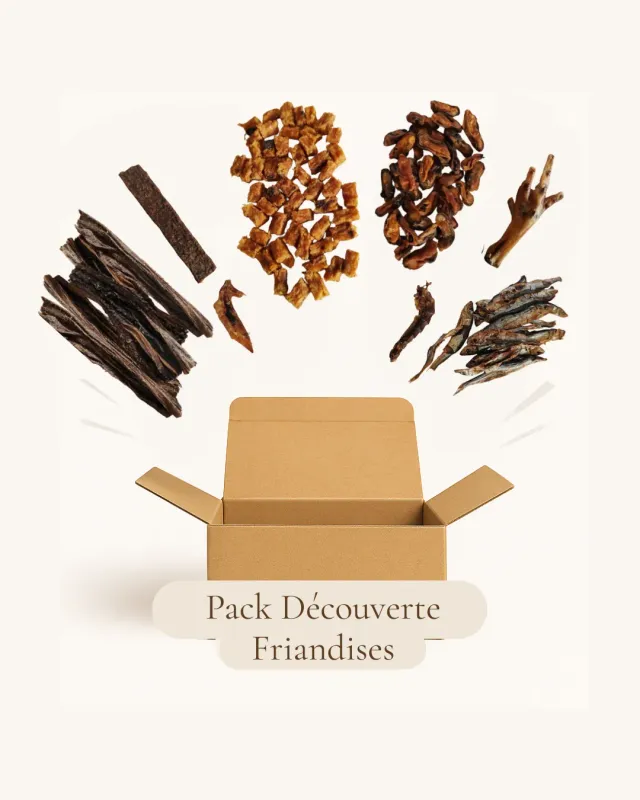 Instincts Pack Découverte Chien friandises